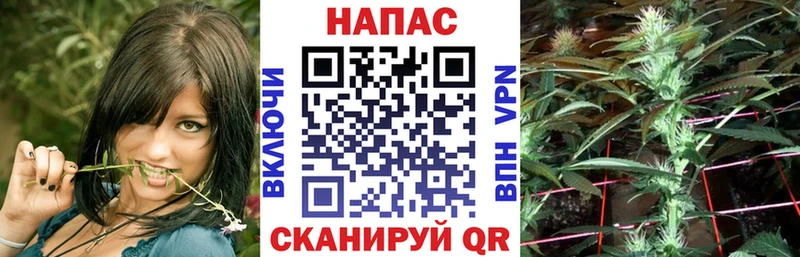 Конопля Amnesia  Пермь 
